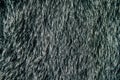 Artificial fur for texture or background. Luxury and elegant fluffy clothes. Eco friendly fashion concept.
