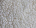 Fur texture in white - as a sheep Royalty Free Stock Photo