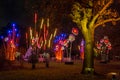 Artificial giant bamboo plants and flowers decorated with lights