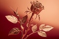 artificial golden rose isolted on rose gold background