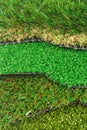 Artificial grass astroturf selection Royalty Free Stock Photo