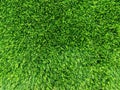 Artificial grass background texture, outdoor photo