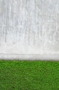 Artificial grass on a cement wall Royalty Free Stock Photo