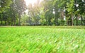 Artificial grass closeup. Artificial turf in a summer city park.