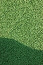Artificial grass fake turf synthetic lawn field macro closeup, gentle shaded shadow area, green sports astroturf texture, vertical Royalty Free Stock Photo