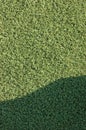 Artificial grass fake turf synthetic lawn field macro closeup with gentle shaded shadow area, green sports texture background with Royalty Free Stock Photo