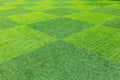 Artificial Grass Field