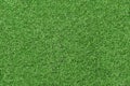 Artificial Grass Field Texture - Fine Grain