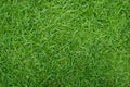 Artificial Grass Field Top View Texture. Green grass texture background. Top view with copy space Royalty Free Stock Photo