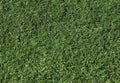 Artificial grass on a football field Royalty Free Stock Photo