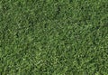 Artificial grass on a football field