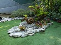 Artificial grass garden features white rock border, pebbles, bromeliads, and a horse-shaped central tree trunk. Royalty Free Stock Photo