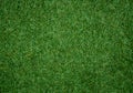 Artificial grass green texture background for apply work. Royalty Free Stock Photo