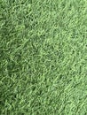 Artificial grass installed in the garden