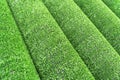 Artificial grass lawn texture. Artificial Turf Background. Greening with an artificial grass. Rolled artificial turf laying backgr Royalty Free Stock Photo