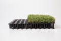 Artificial grass mat isolated on a white background Royalty Free Stock Photo