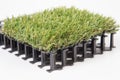 Artificial grass mat isolated on a white background Royalty Free Stock Photo