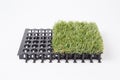 Artificial grass mat isolated on a white background Royalty Free Stock Photo