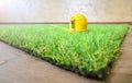 Artificial grass lie on the wooden background Royalty Free Stock Photo