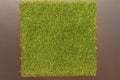 Artificial Grass Patch Royalty Free Stock Photo