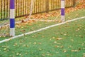 Artificial grass, sport field cover with soccer goal Royalty Free Stock Photo