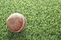 Artificial Grass Royalty Free Stock Photo