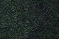 Artificial grass texture for background.