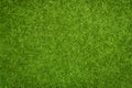 Artificial grass texture Royalty Free Stock Photo