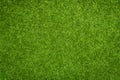 Artificial grass texture