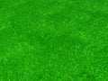 Artificial grass, texture of green grass, 3d Royalty Free Stock Photo