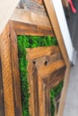 Artificial grass wooden wall panel, interior design idea Royalty Free Stock Photo