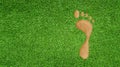 Abstract image of Imprint of human footprint on green grass meadow field. Royalty Free Stock Photo