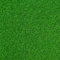 Artificial green Grass