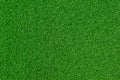 Artificial green Grass