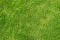 Artificial green grass background. Green grass floor texture ideal for use top view sport Royalty Free Stock Photo