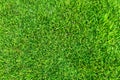 Artificial green grass background. Green grass floor texture ideal for use top view sport Royalty Free Stock Photo