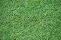 Artificial green grass close up macro Royalty Free Stock Photo