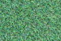 Artificial green grass. Grass texture green lawn. Royalty Free Stock Photo