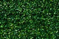 Artificial green grass - green leaves background texture. Royalty Free Stock Photo