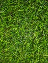 Artificial green grass with selective focus. Concept green texture and artificial turf. Royalty Free Stock Photo