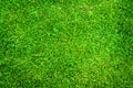 Artificial green grass or sport field texture Royalty Free Stock Photo