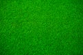 Artificial green grass texture