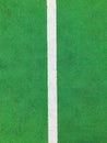 Artificial green grass with white line delimitation for sport field.