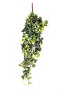 Artificial Green Hanging Plant