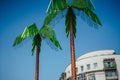 Artificial green metal palms with white living house and blue sky background in Park Fiction Hamburg. An artistic and