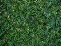 Artificial greenery. Artificial grass background. Plastic greenery on a wire fence. Decorations in the yard