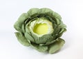 Artificial head of cabbage photo prop for newborn photography