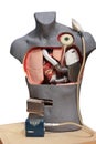 Artificial Heart Pump Royalty Free Stock Photo