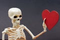 Artificial human body skeleton with a paper heart icon in hand