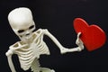 Artificial human body skeleton with a paper heart icon in hand